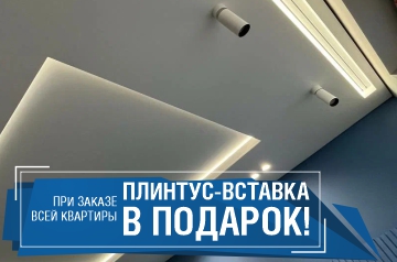 Плинтус - вставка в подарок